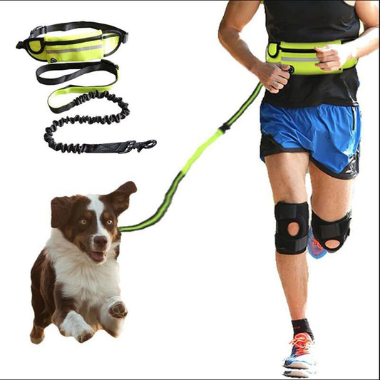 Hands Free Dog Leash Pet Walking And Training Belt
