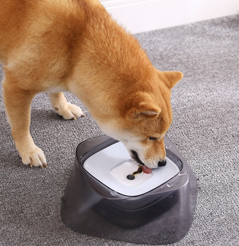 Pet Dog Bowl Floating Not Wetting Mouth Cat Bowl