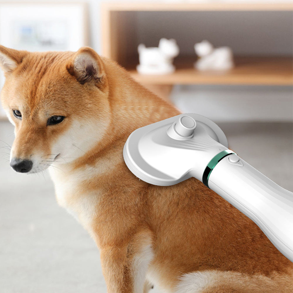 Pet Comb Hair Dryer