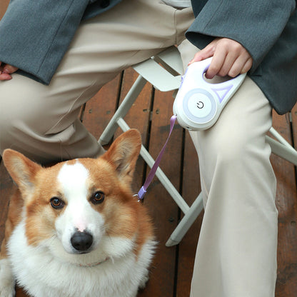 Dog Leash Retractable Leash And Dog Collar Spotlight Automatic