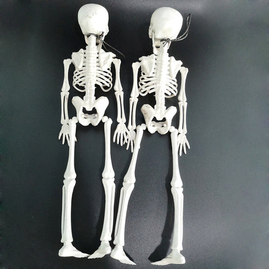 Halloween skeleton skeleton