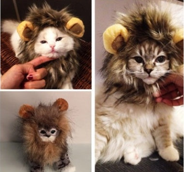 Funny Pet Hat For Small Dogs Cats Hat Emulation Lion Hair