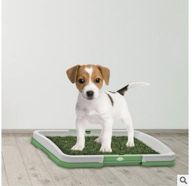 Flat Pet Toilet Dog Potty With Lawn Trumpet
