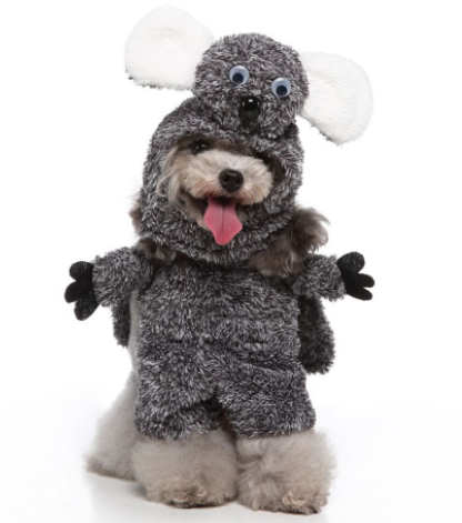 Cosplay Pet Supplies Standing Outfit Funny Dog Clothes