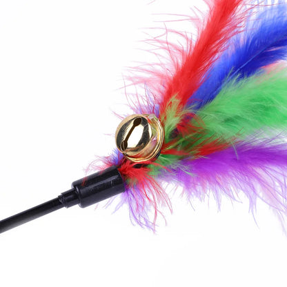 Funny Kitten Cat Teaser Interactive Toy Rod