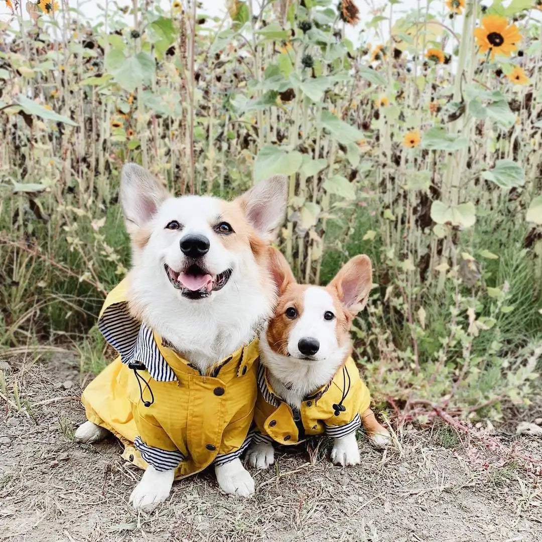 Waterproof Pet Dog Coat Windproof Raincoat