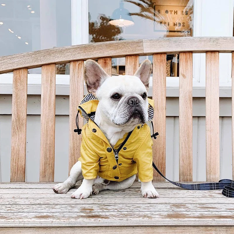 Waterproof Pet Dog Coat Windproof Raincoat