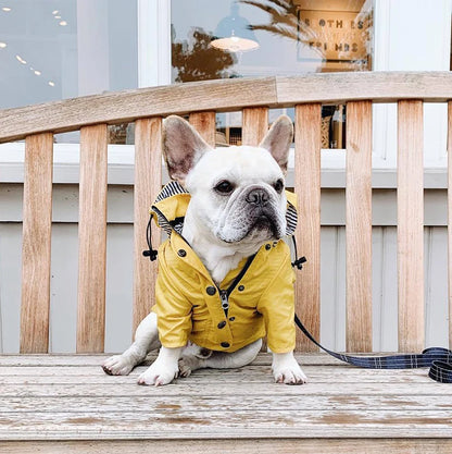 Waterproof Pet Dog Coat Windproof Raincoat