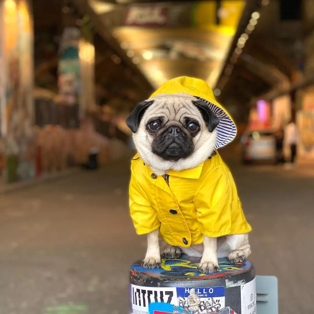 Waterproof Pet Dog Coat Windproof Raincoat