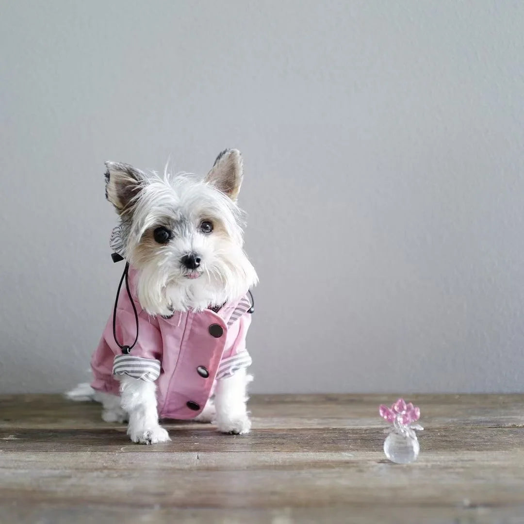 Waterproof Pet Dog Coat Windproof Raincoat