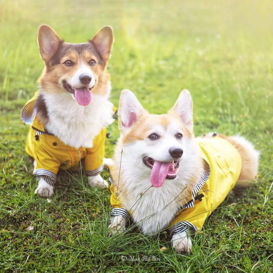 Waterproof Pet Dog Coat Windproof Raincoat