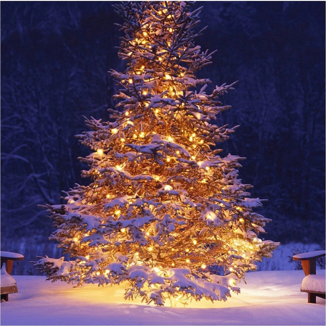 AA Battery Operated LED String Lights 10/20/40/80/160 for Xmas