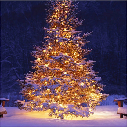 AA Battery Operated LED String Lights 10/20/40/80/160 for Xmas
