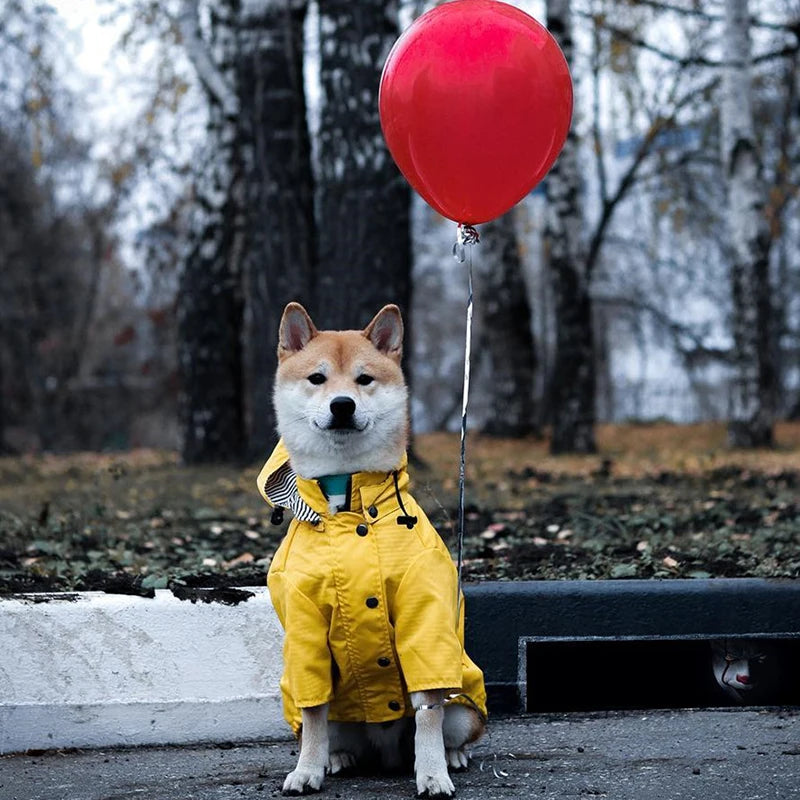 Waterproof Pet Dog Coat Windproof Raincoat