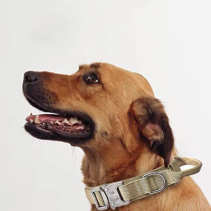 Pet Dog Collar Leash Set Nylon Material Durable Dog Collar