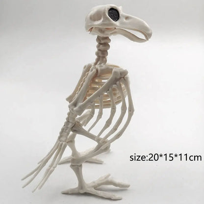 Crazy Bone Skeleton Raven Plastic Animal Skeleton Bones