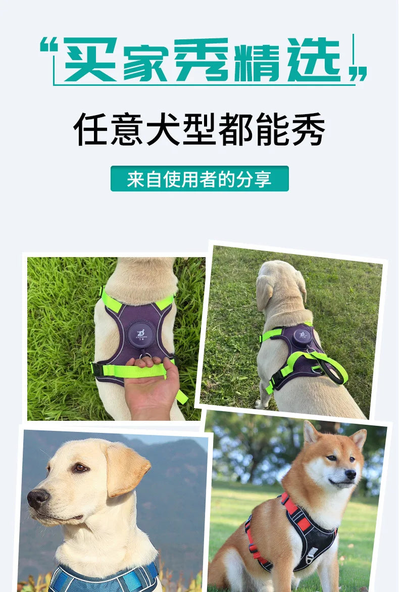Automatic retractable dog leash with chest and back strap