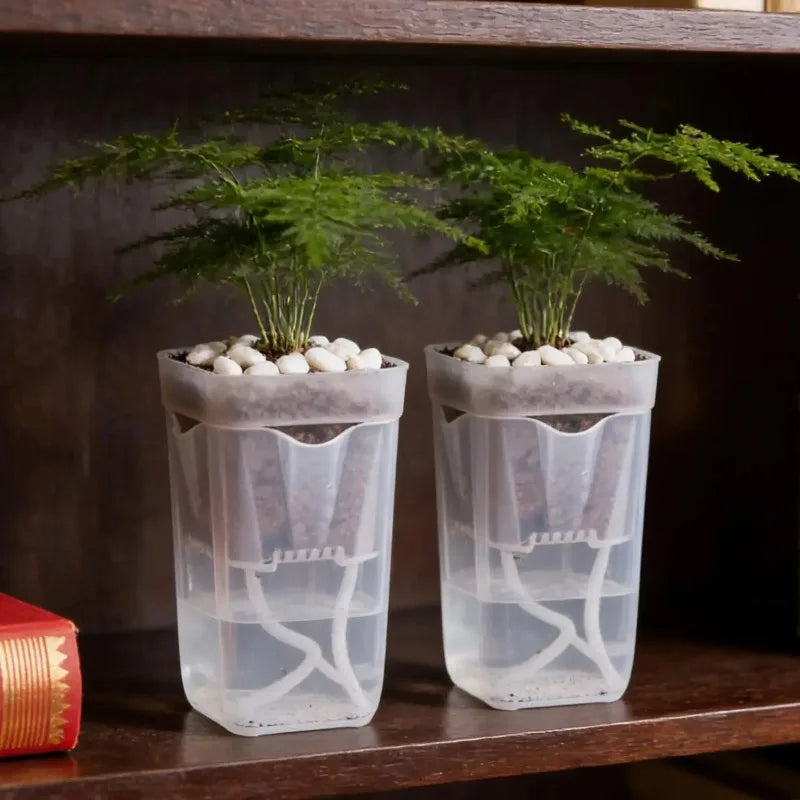 Transparent Flower Plant Pot Self Watering Planter