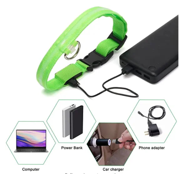 Usb Charging Glowing Dog Collar With Pendant Detachable