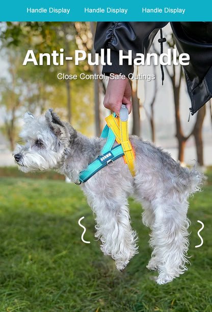 Dog Harness No Pull T-Shape Breathable Spring Summer