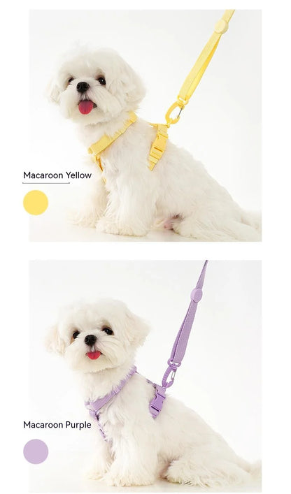 Adjustable Dog Harness Collar Leash Set Macarone Color
