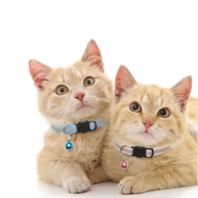 Colorful Reflective Breakaway Cat Collar with Bell