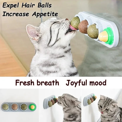 4 in 1 Rotating Catnip Silver Vine Ball Teeth Cleaning Acne Prevention