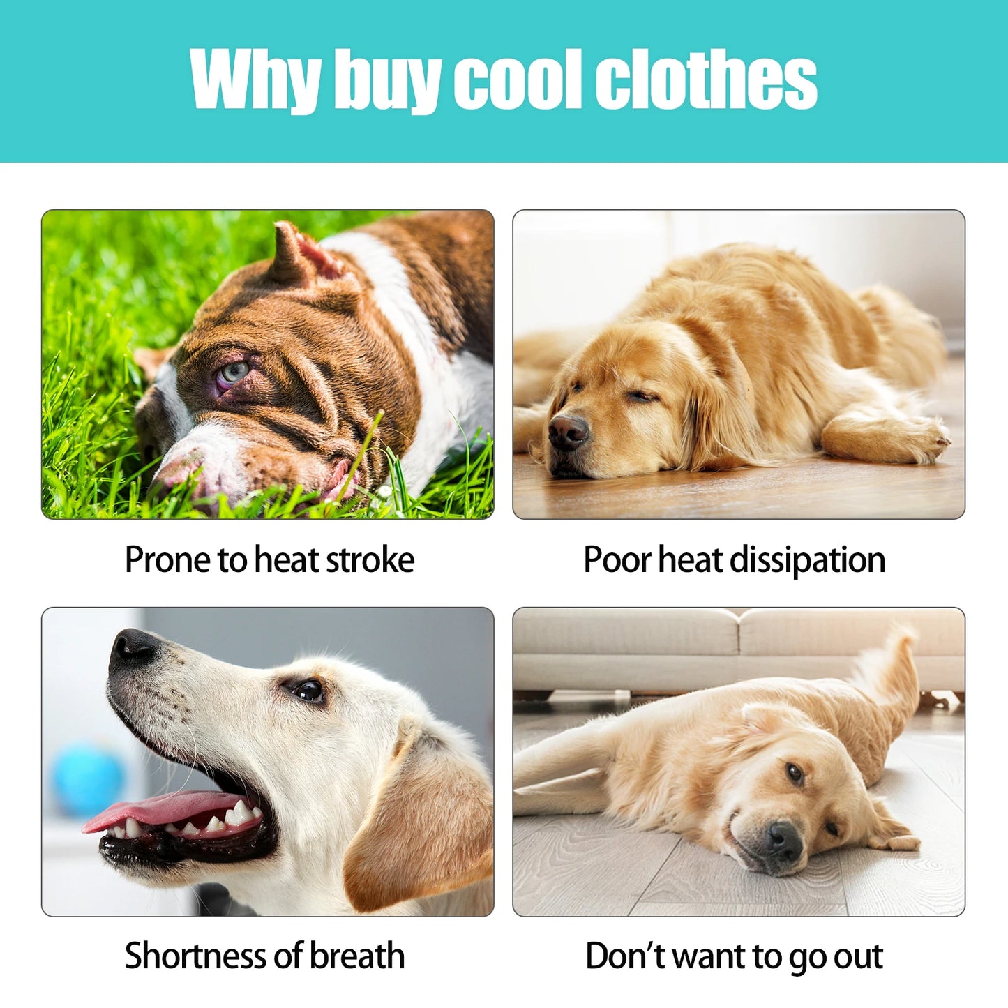 Cooling Vest - Breathable Dog Vest for Hot Summer Days
