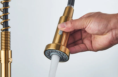 Brushed Gold Kitchen Faucet Pull Down 2-way Spray Single
