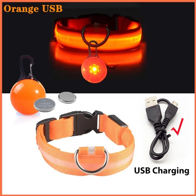 Usb Charging Glowing Dog Collar With Pendant Detachable