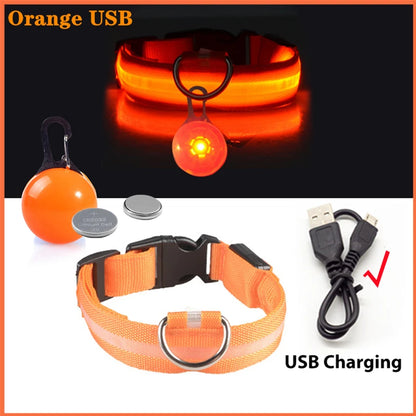 Usb Charging Glowing Dog Collar With Pendant Detachable