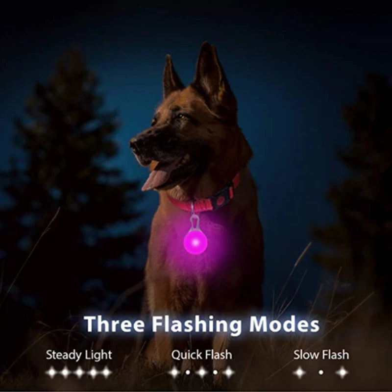 Usb Charging Glowing Dog Collar With Pendant Detachable
