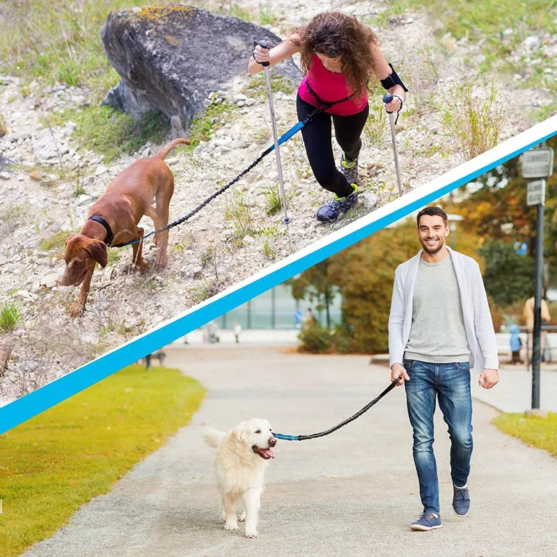Double elastic reflective running leash portable