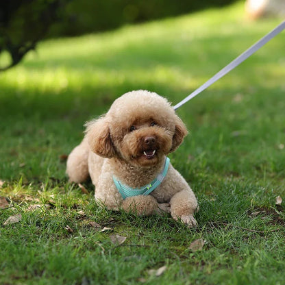 Puppy Harness Set Dog Accessories Adjustable Harness