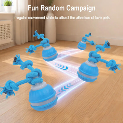 Cat Dog Interactive Ball Toy Automatic Rolling Ball