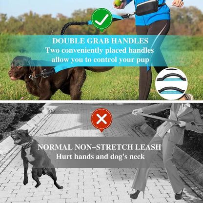 Free Dog Leash with Zipper Pouch Dual Padded Handles