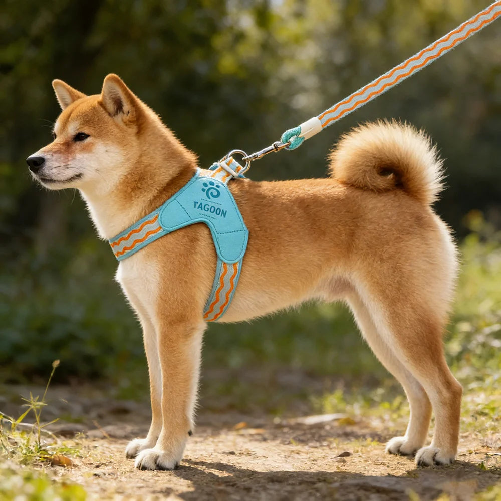 Puppy Harness Wear Simple Mesh Breathable Outdoor