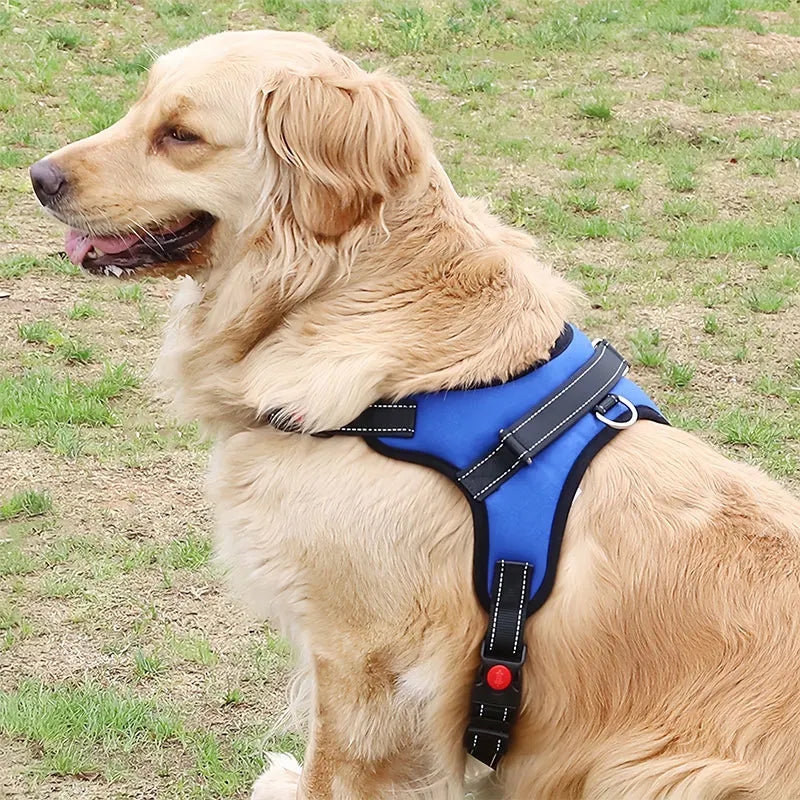 Adjustable Dog Harness Leash Set Chest Strap