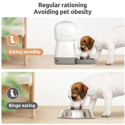 3.5L Automatic Pet Feeder For Cats WiFi Smart Swirl