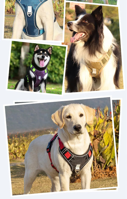 Automatic retractable dog leash with chest and back strap