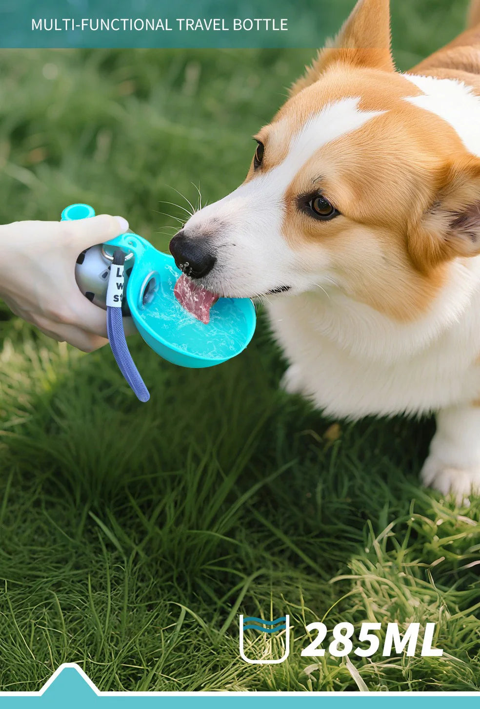 Small Dog Water Bottle 285ML Stainless Steel/PETG Convenient