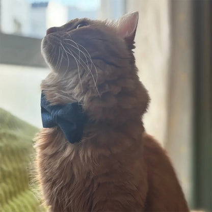 Stylish Adjustable Cat Collar with Bowknot