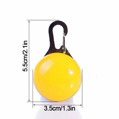Usb Charging Glowing Dog Collar With Pendant Detachable