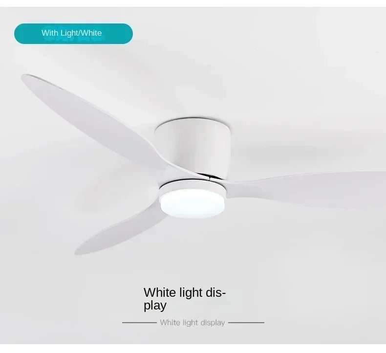 Modern LED Ceiling Fan Lights, Low Floor Decorative Lights