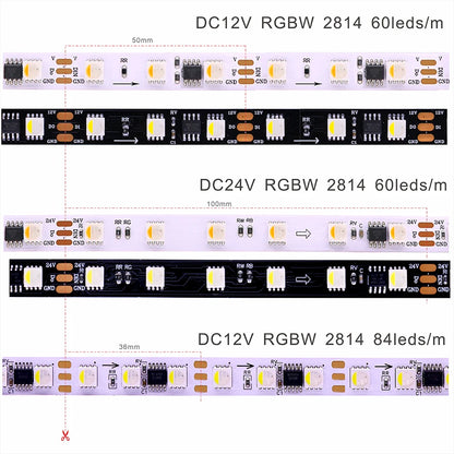 12V 24V WS2814 RGBWW RGBCW Led Strip Light 4in1 Similar