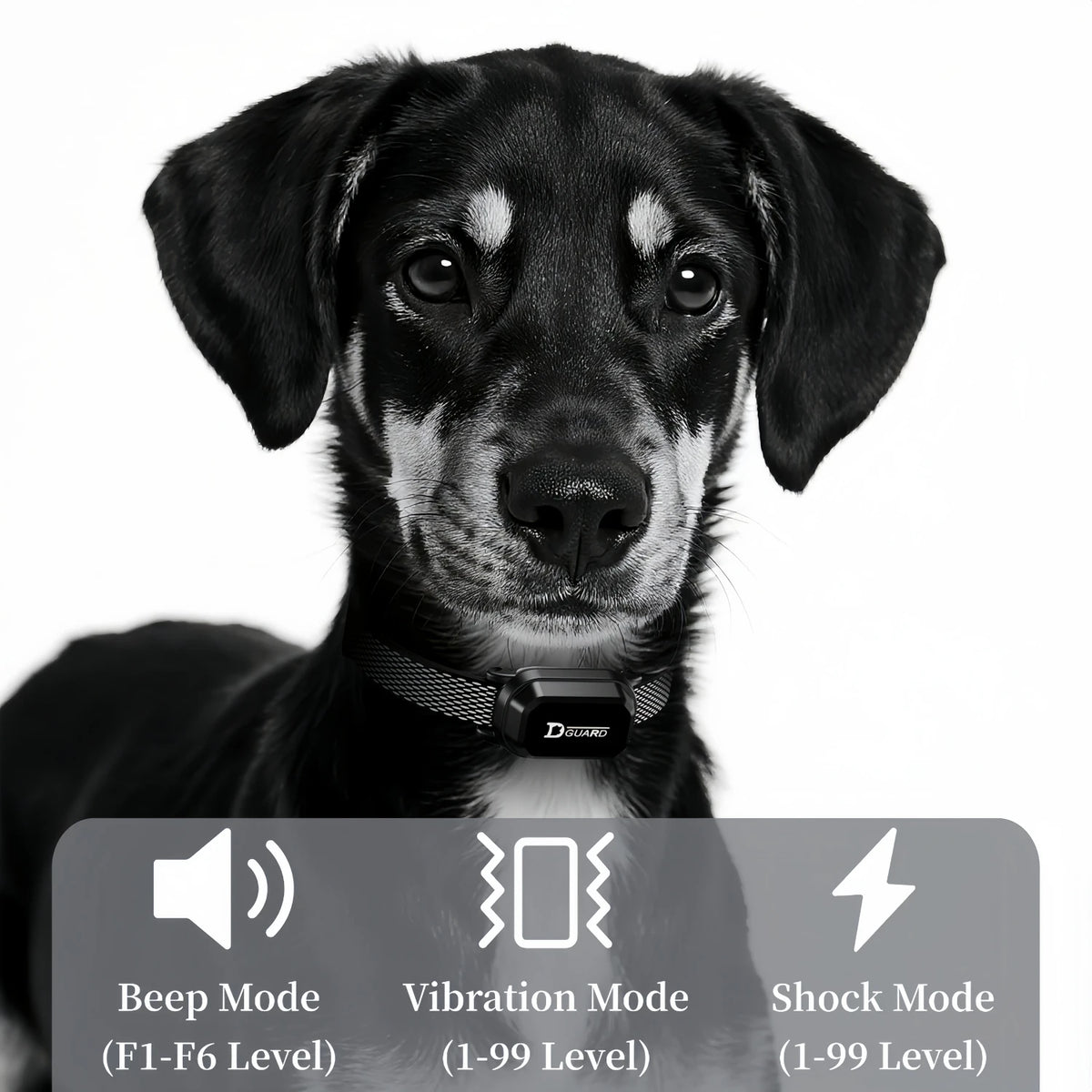 3300FT Electric Dog Training Collar Remote Control