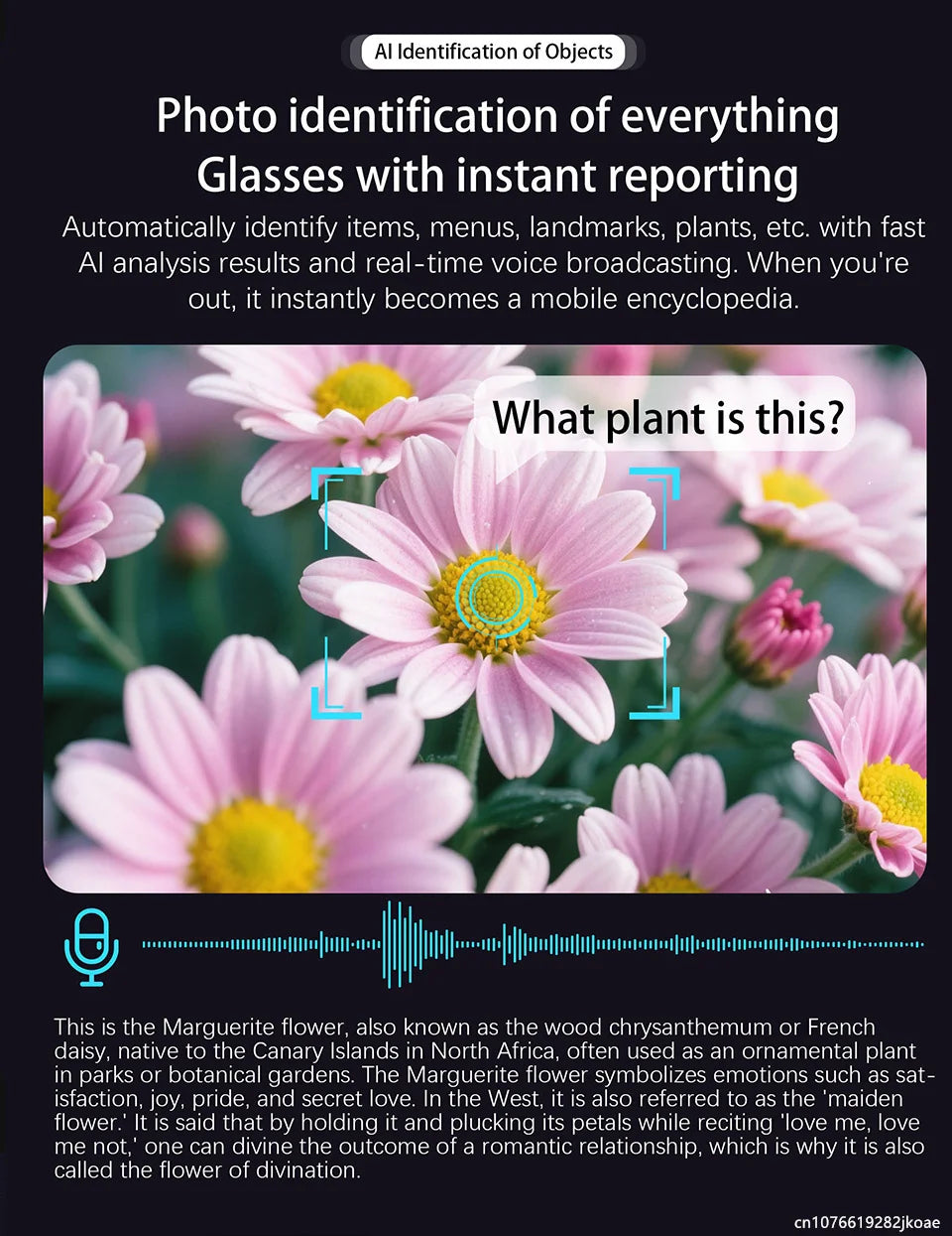 Smart Translation Glasses AI Smart Bluetooth Glasses