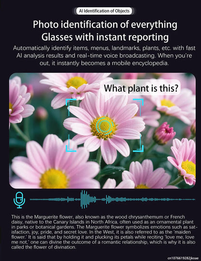 Smart Translation Glasses AI Smart Bluetooth Glasses