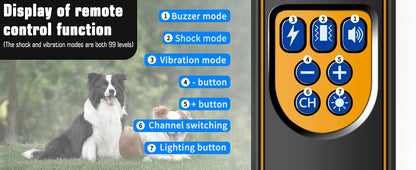 Dog Training Collar with Remote IP67 Waterproof