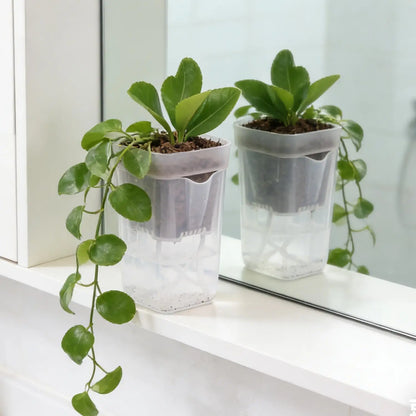 Transparent Flower Plant Pot Self Watering Planter